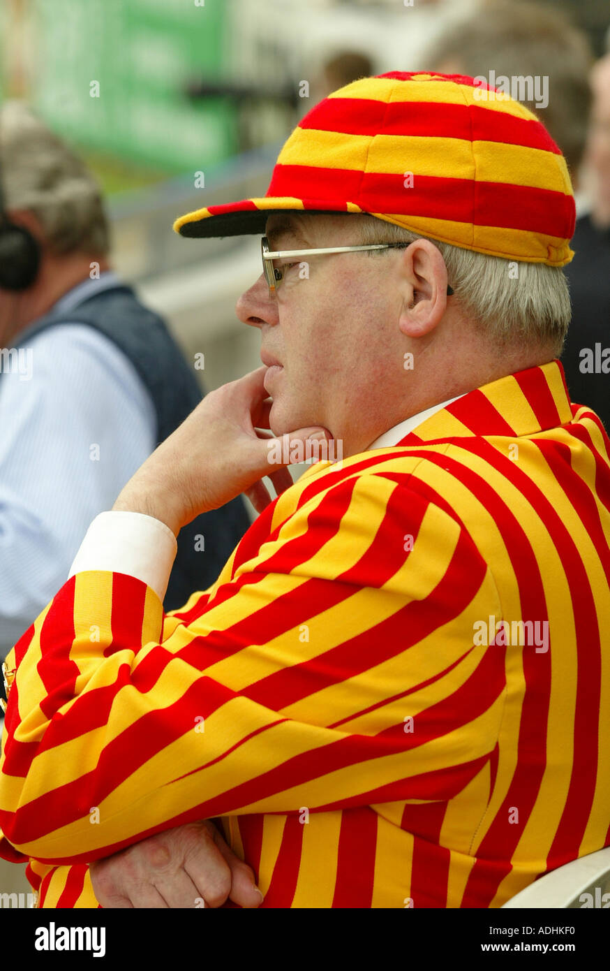 A spectator at Lords cricket ground London UK Stock Photo Alamy