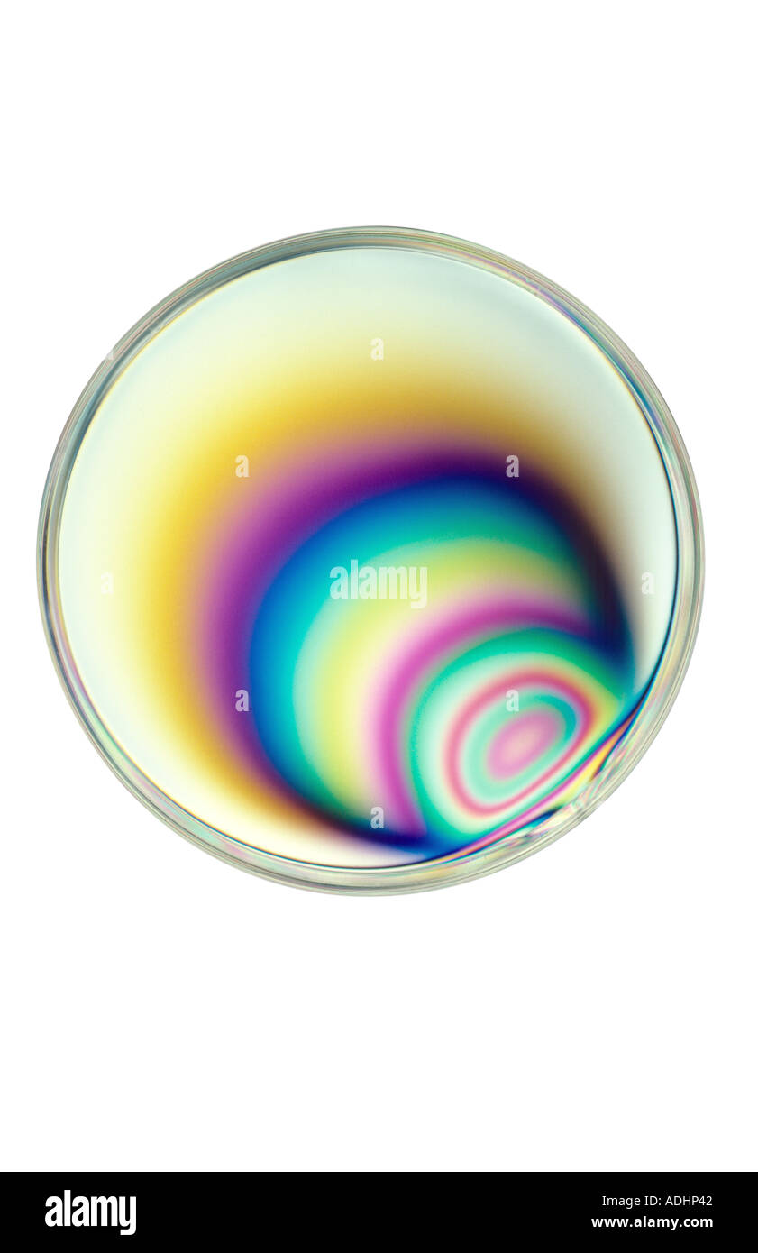 Plastic petri dish Stock Photo