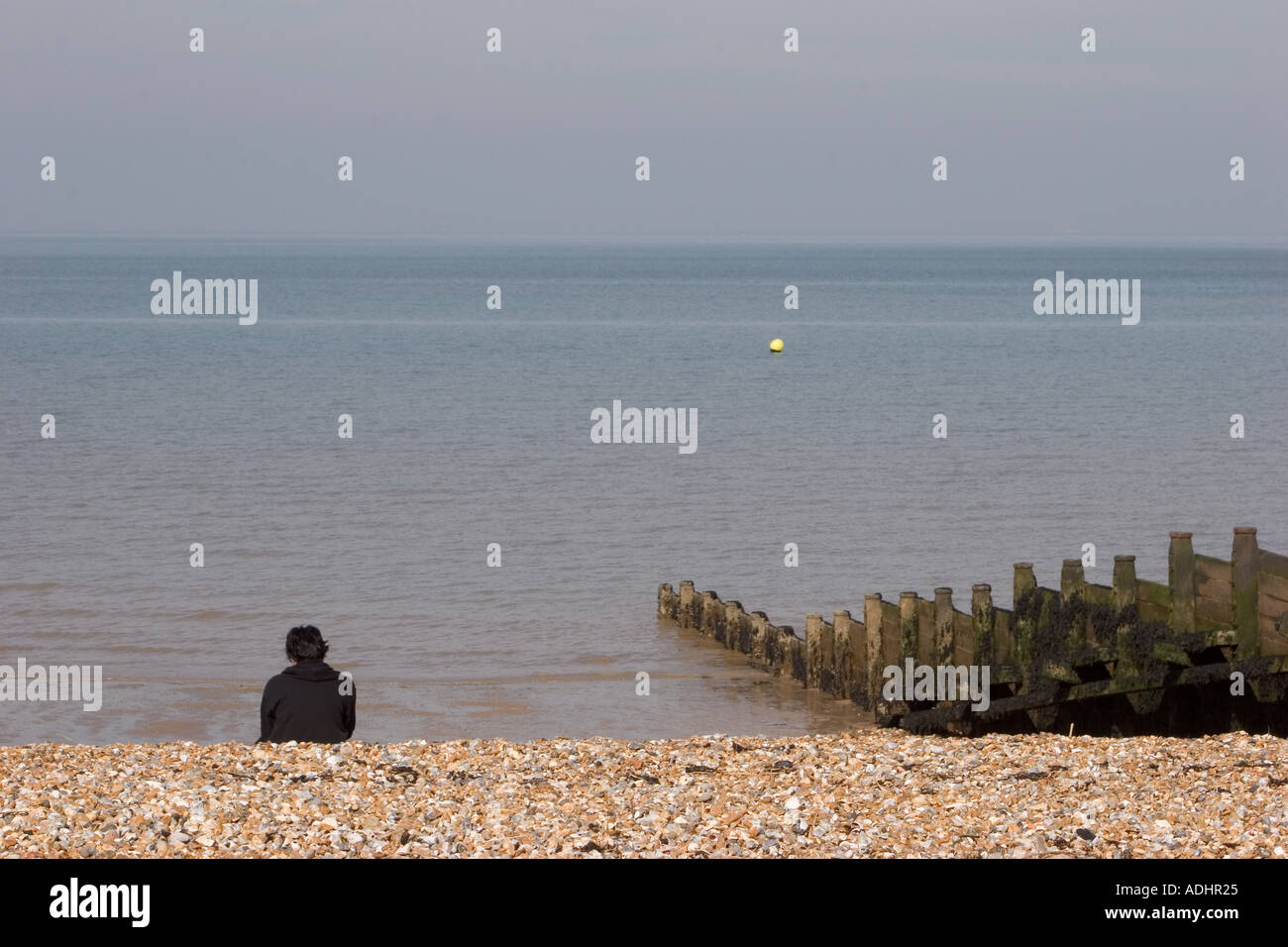 Person looking out to sea Stock Photo Alamy