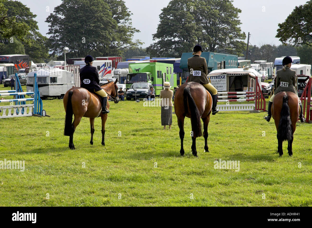 Equestrian sport three day event competition horse hires stock