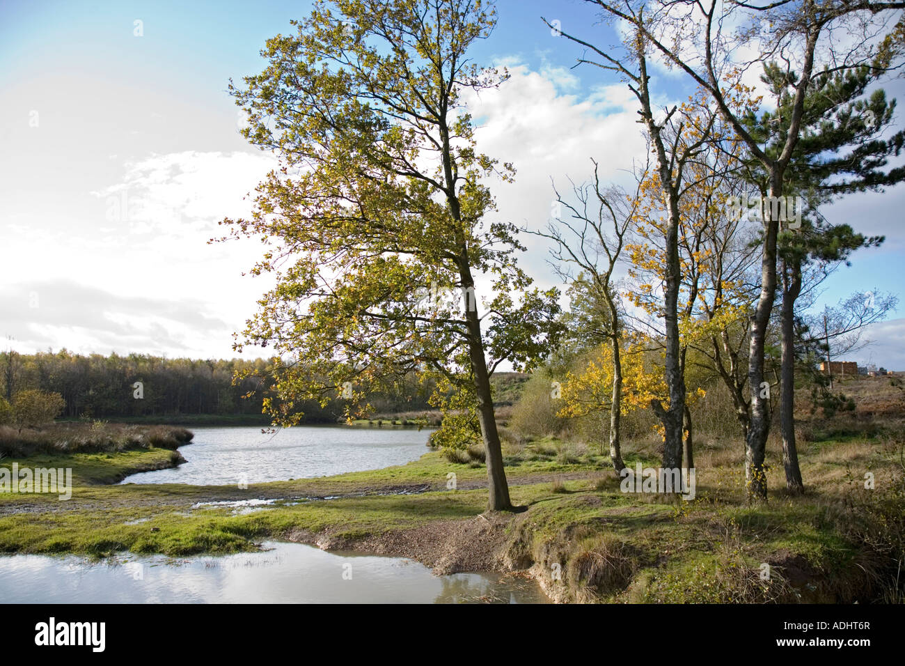 Mere Lake Pool Autumn Cannock Wood Cannock Chase Stock Photo Alamy