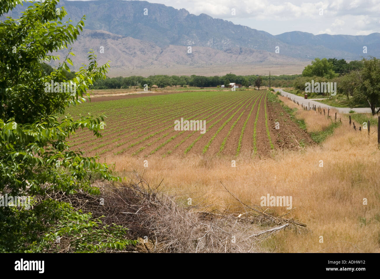 farmland new mexico scenic Stock Photo Alamy