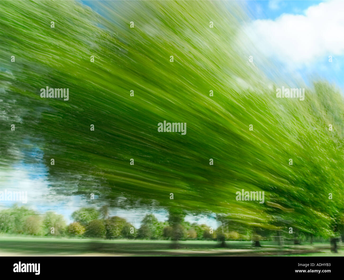 Blurred city park green trees hi-res stock photography and images - Alamy