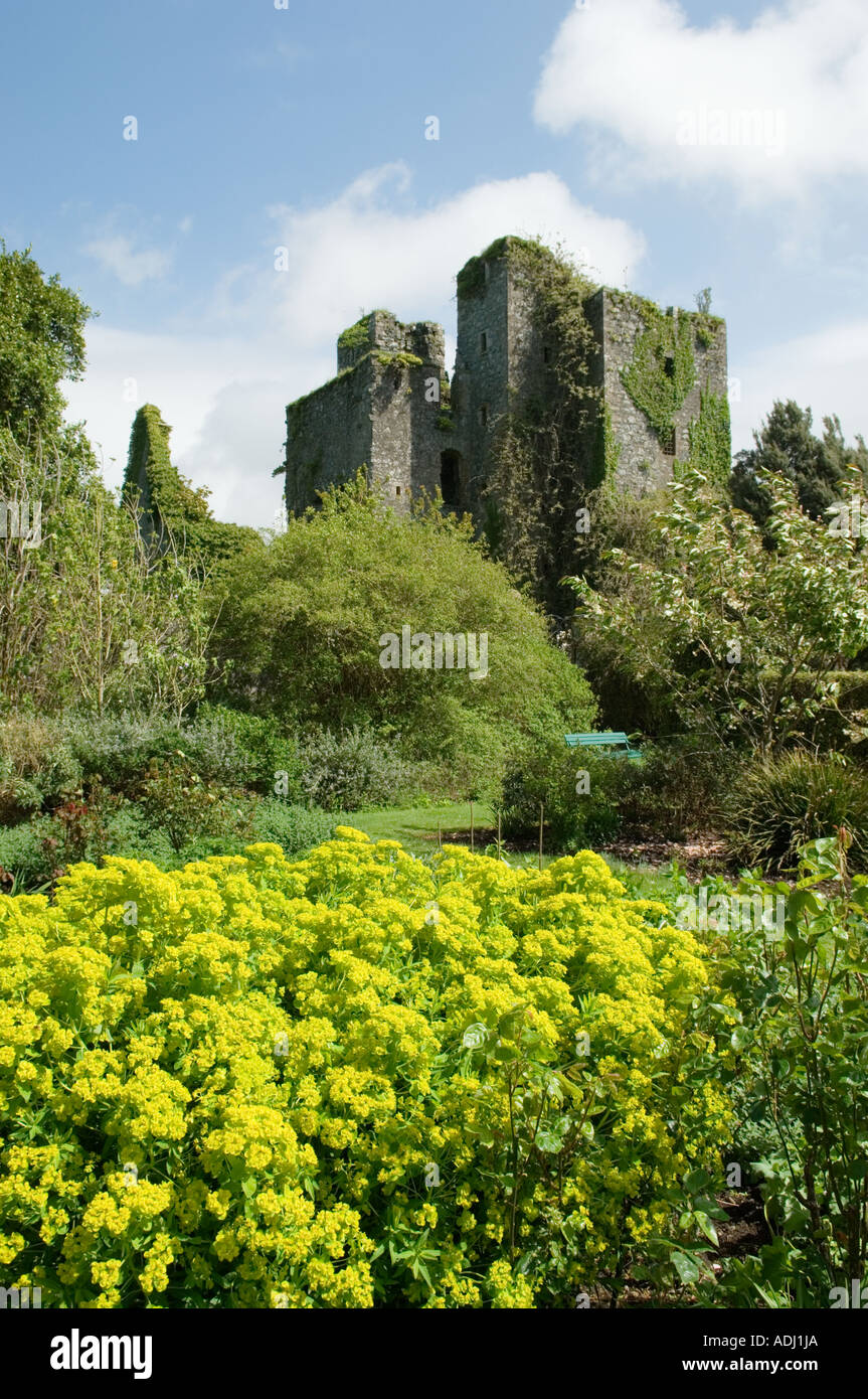 The ruins of the 14th C. Castle Kennedy near Stranraer in the Dumfries and Galloway region of Scotland, UK Stock Photo