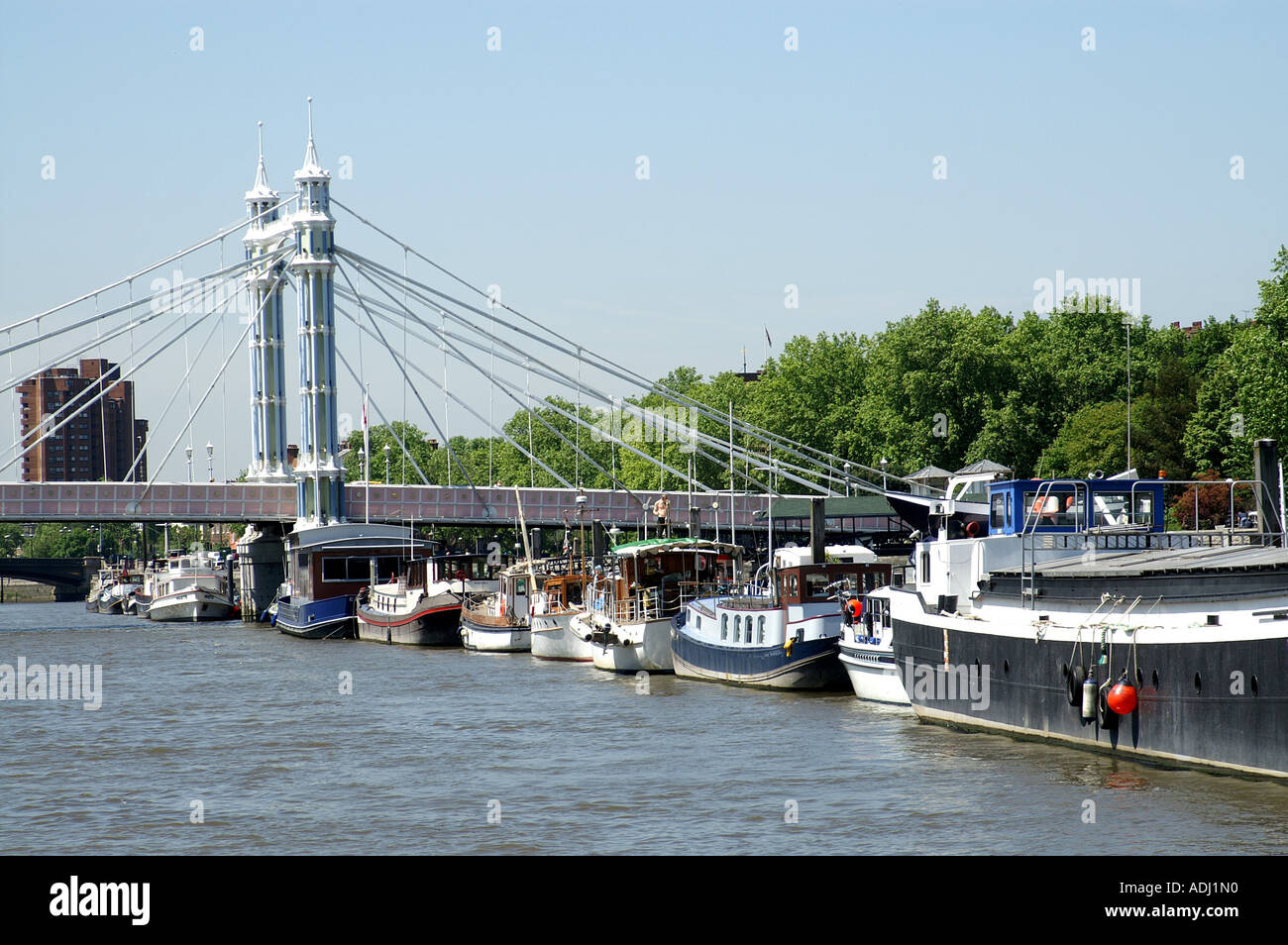 Albert bridge river Thames London Stock Photo - Alamy