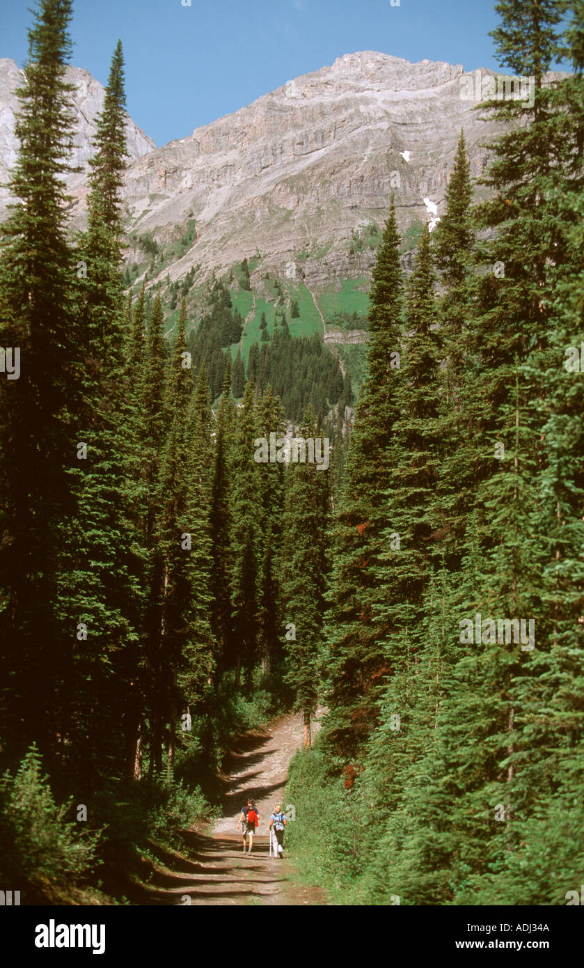 Burstall Pass Walk near Canmore and Banff The Rockies Canada Stock