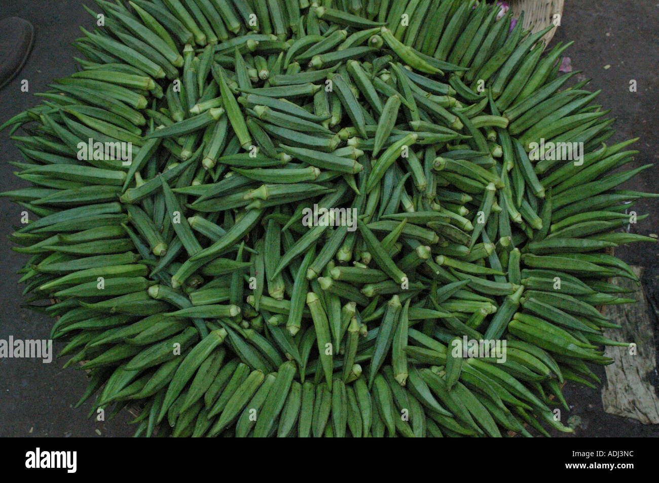 Mumbai market okra display vegetable India Indian Stock Photo Alamy