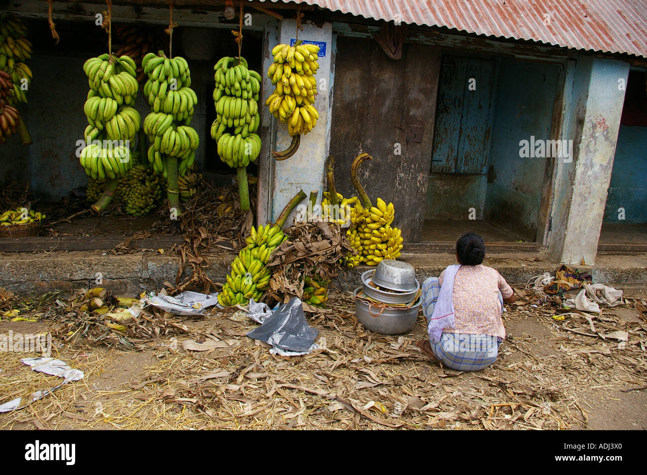 Palayam Trivandrum Thiruvananthapuram Kerala South India portrait market stall holder trade trader seller vendor fruit banana Stock Photo
