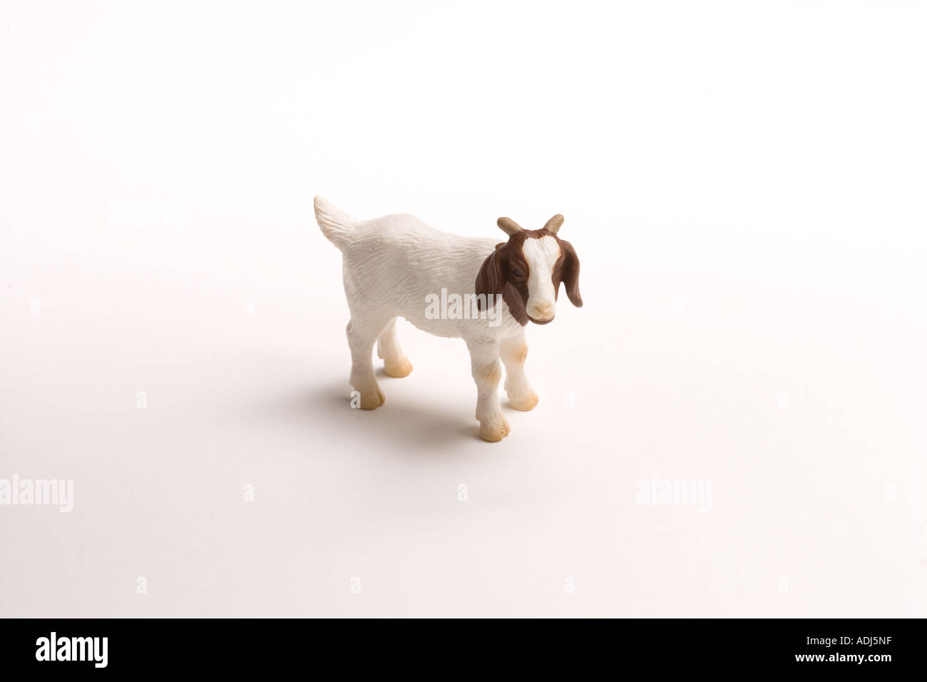 Miniature farmyard animal Stock Photo