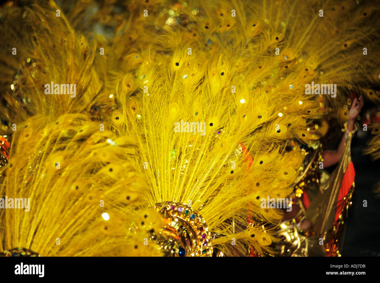 Rio De Janeiro Brazil Carnival Samba School Parade Bright Yellow Peacock Feather And Gold Headdresses Stock Photo Alamy Rio De Janeiro Brazil Carnival Samba School Parade Bright Yellow Peacock Feather And Gold Headdresses Stock Photo Alamy