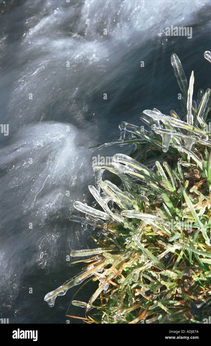 Frost coated grass blades hi-res stock photography and images - Alamy