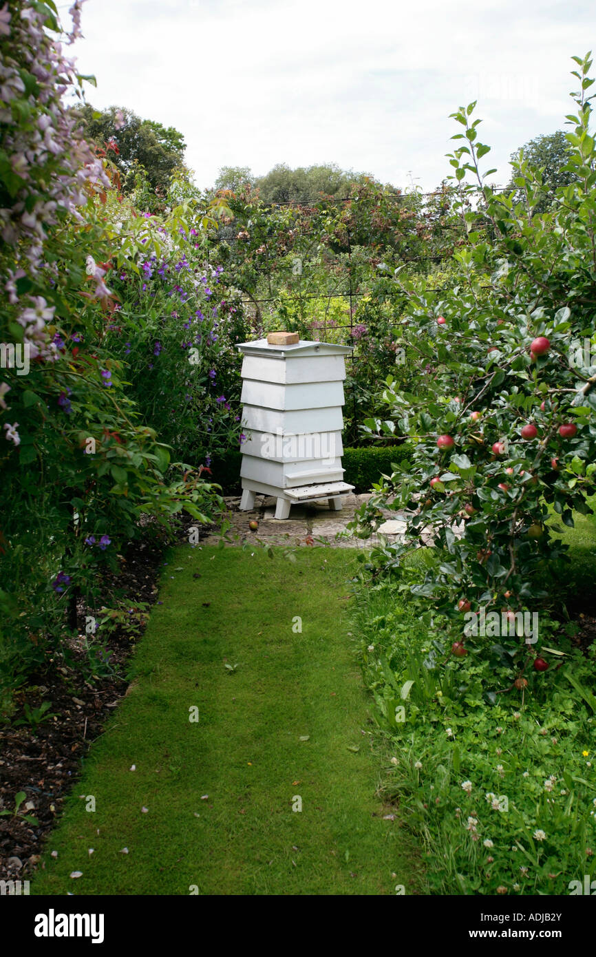 Traditional white wooden beehive in English garden in summer Stock Photo