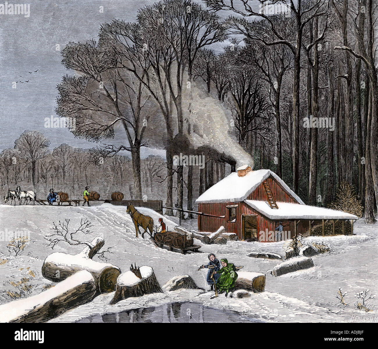 Horse-drawn sleds hauling sap in a maple sugar camp 1800s. Hand-colored woodcut Stock Photo