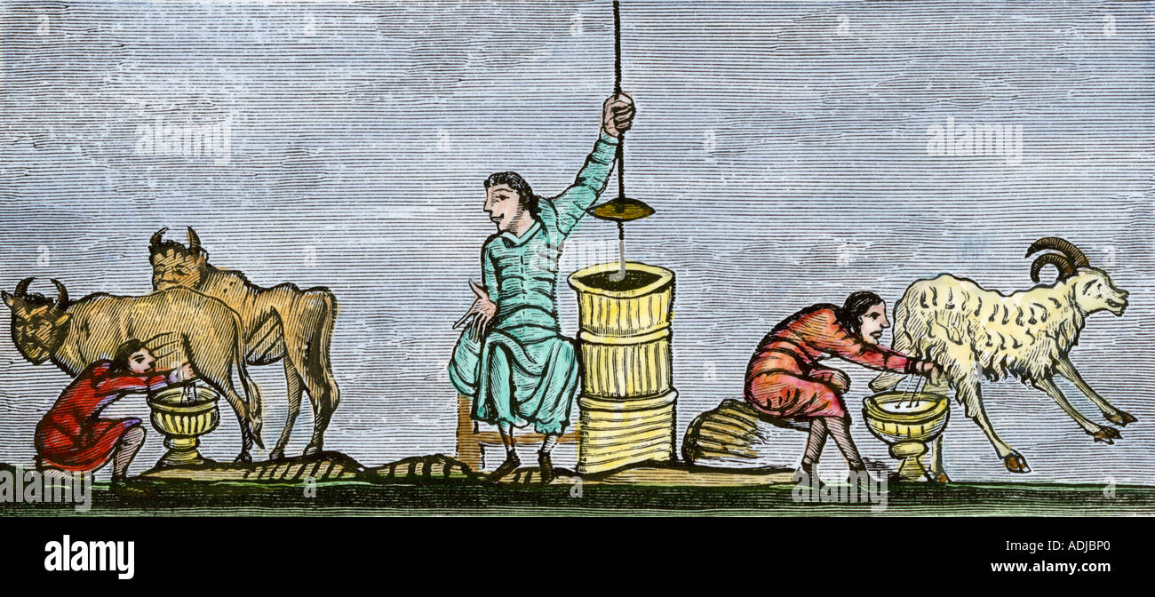 Milking cows and a goat and churning butter in the 12th century. Hand-colored woodcut Stock Photo