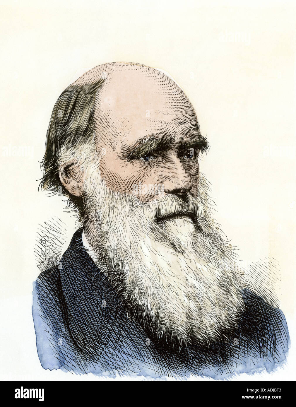 Charles Darwin. Hand-colored woodcut Stock Photo