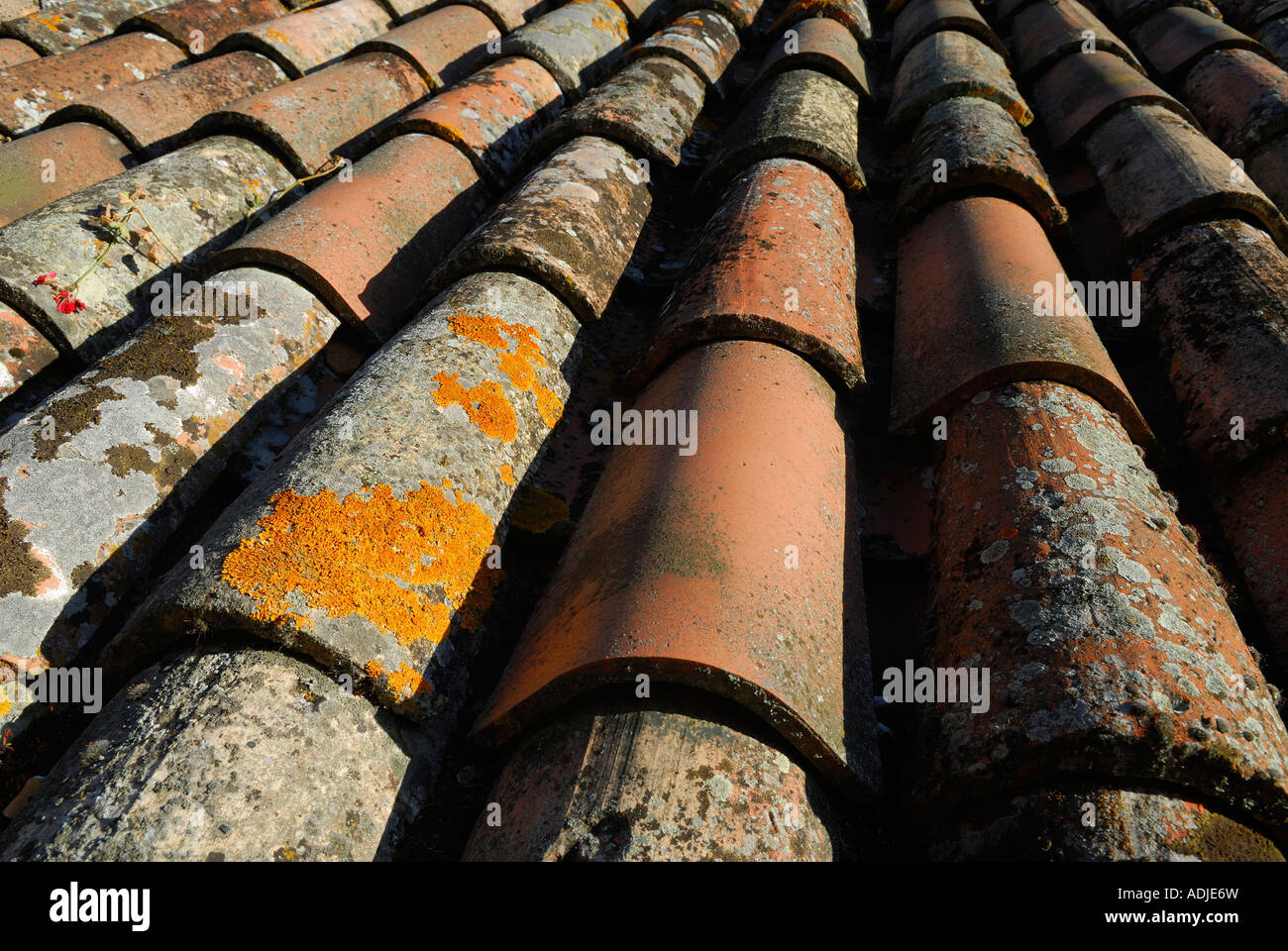 Lichen encrusted mission clay roof tiles in Umbria Italy Stock Photo