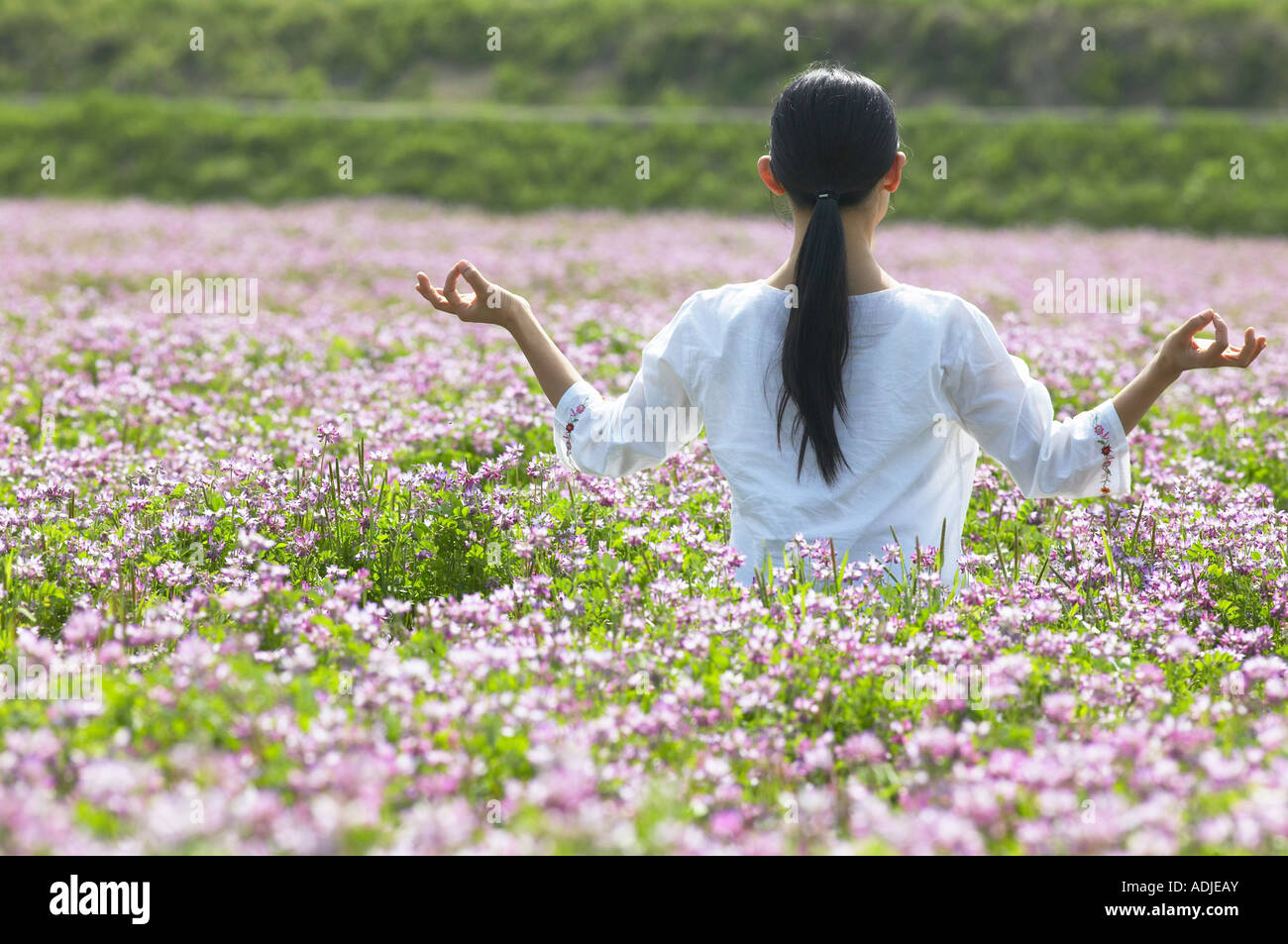 Flower Garden Yoga