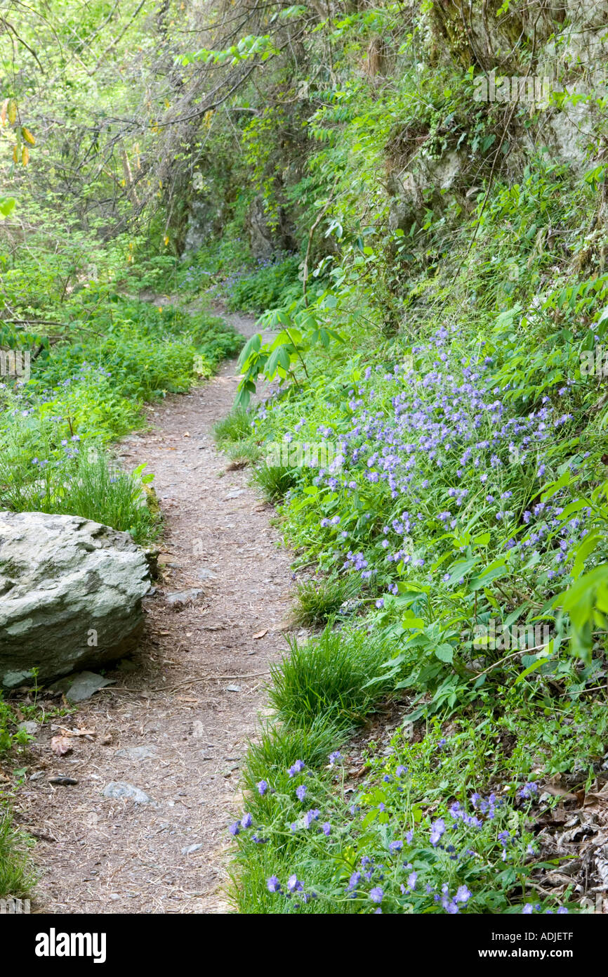 Hike path hi-res stock photography and images - Alamy