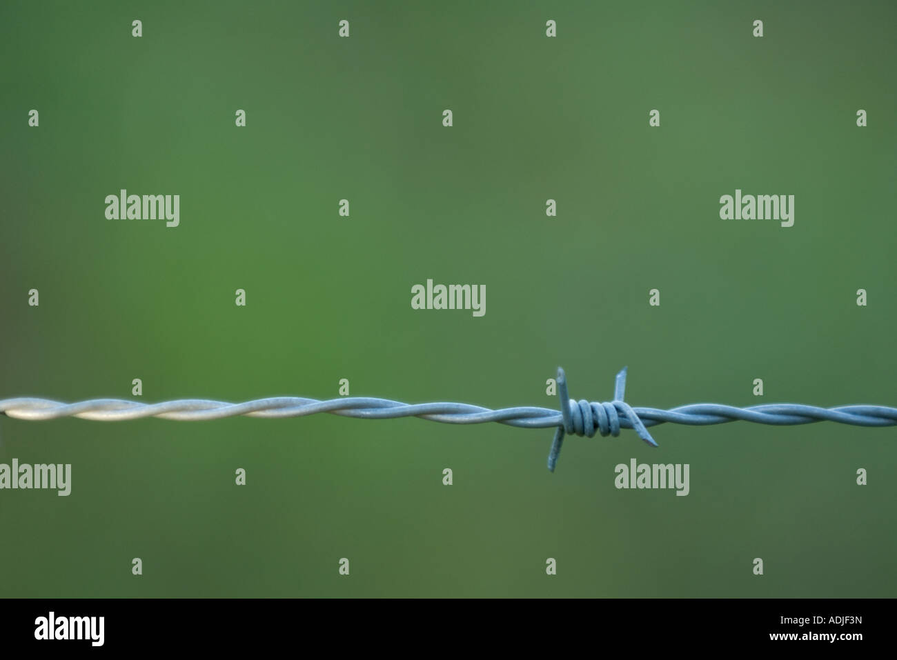 Barbed Wire Knot High Resolution Stock Photography and Images Alamy