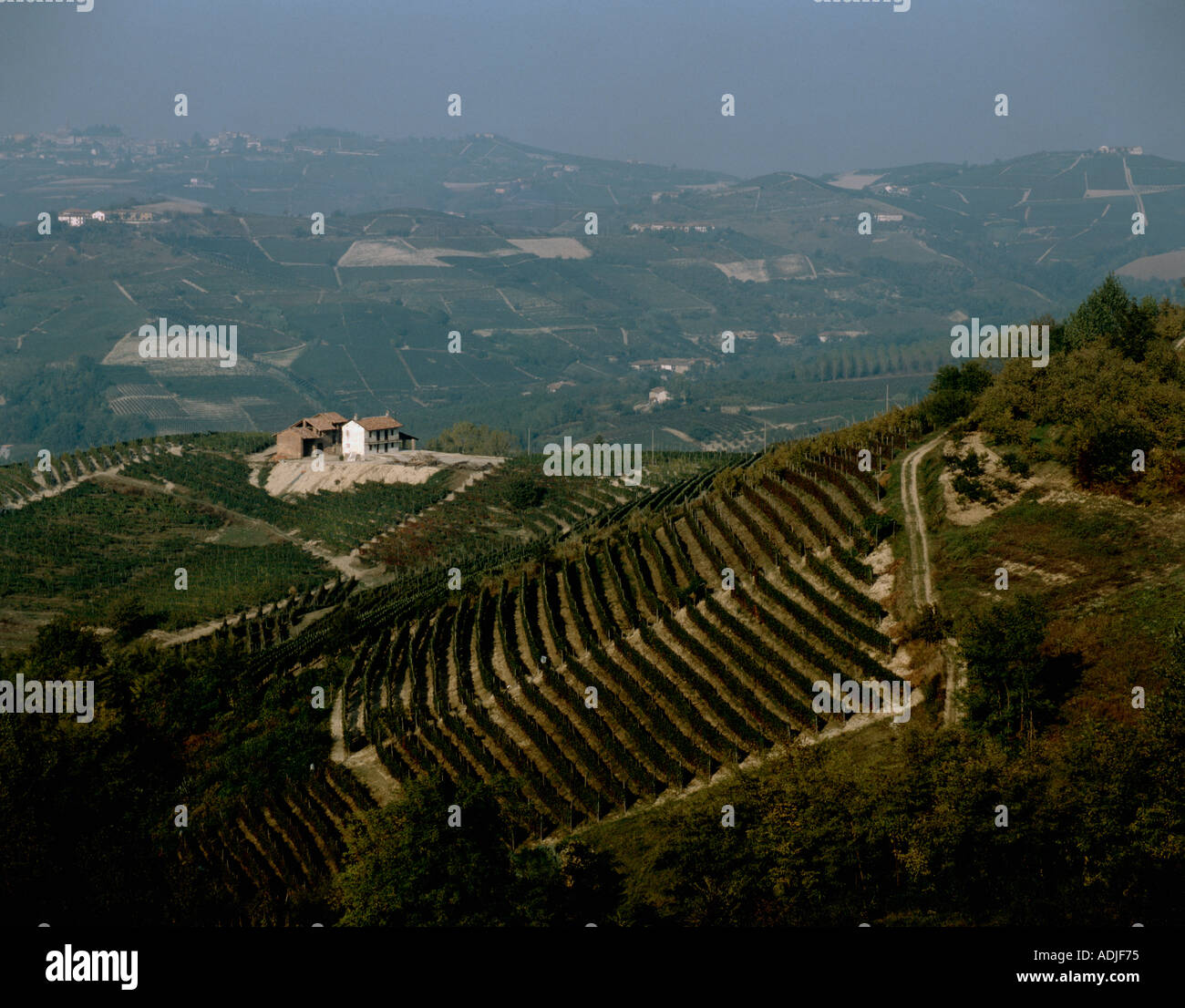 Italy Piemonte Barolo view over the vineyards of Fontanafredda outside the city of Alba Stock Photo