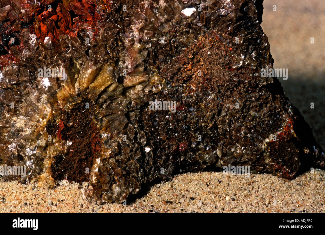 Calx hi-res stock photography and images - Alamy