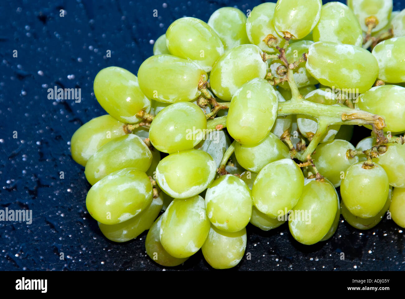 Green Seedless Grapes Stock Photo Alamy