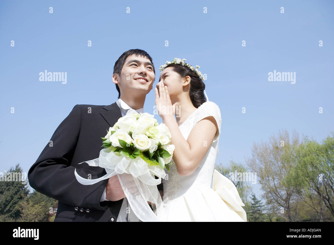 Wedding a bridegroom and a bride Stock Photo - Alamy