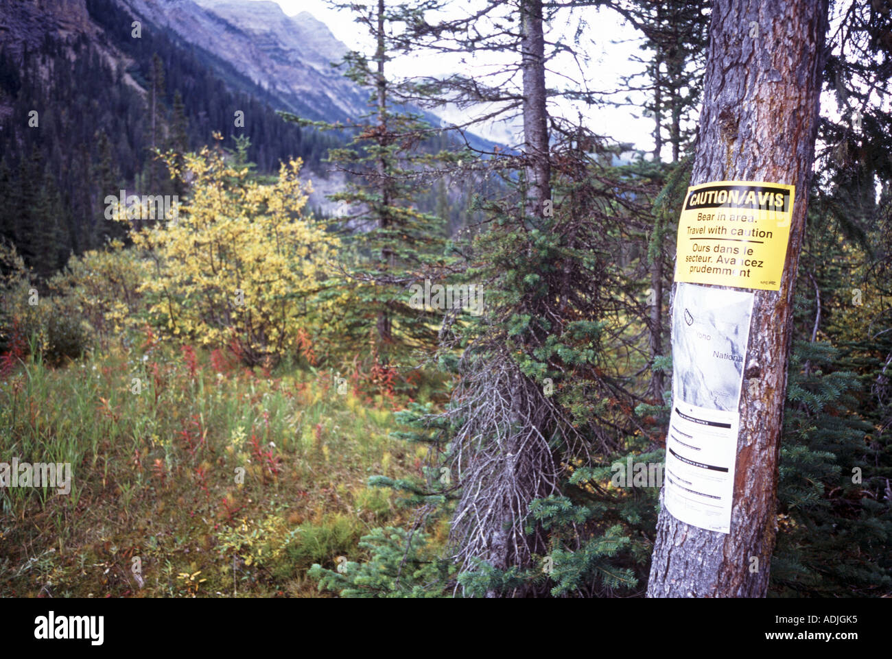 Grizzly Bear danger sign on tree aiding conservation management Yoho National Park British Columbia Canada Stock Photo