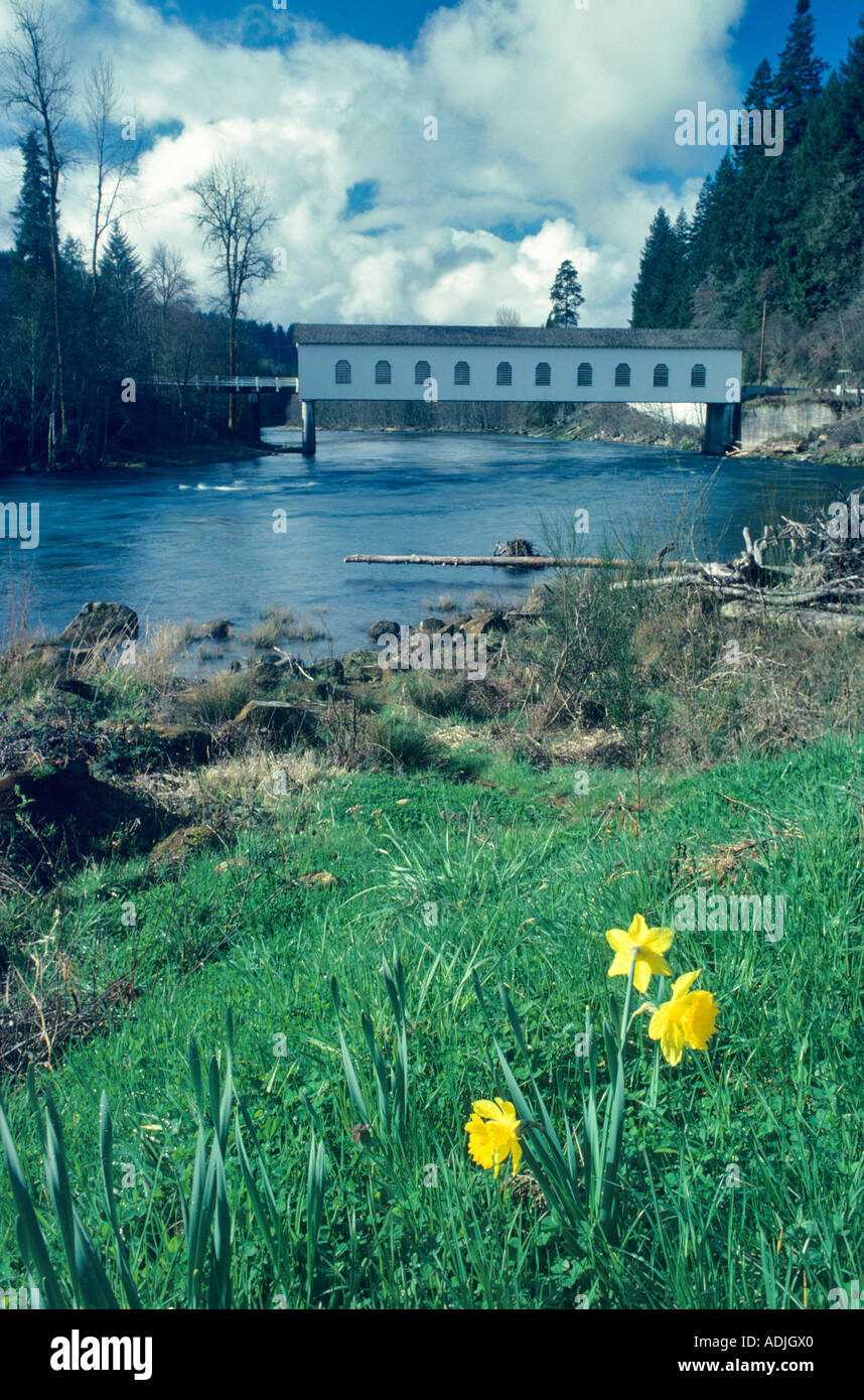 Goodpasture Bridge with daffodils Oregon Stock Photo Alamy