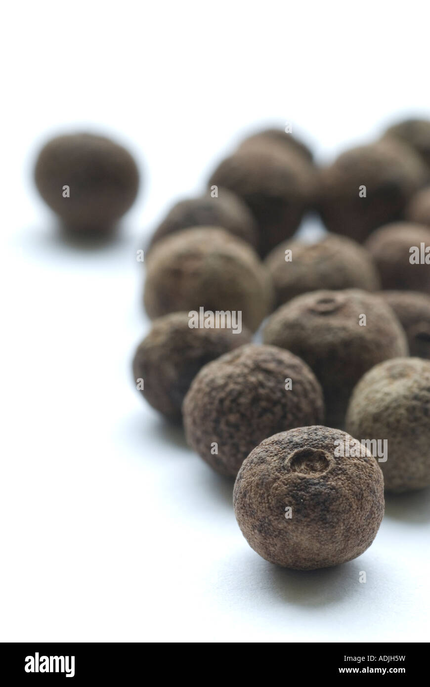 Allspice, Dried allspice fruits, Piment, Pimento Stock Photo Alamy