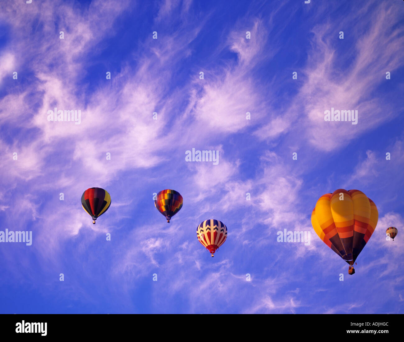 Hot air balloons taking off Art and Air Festival Albany Oregon Stock