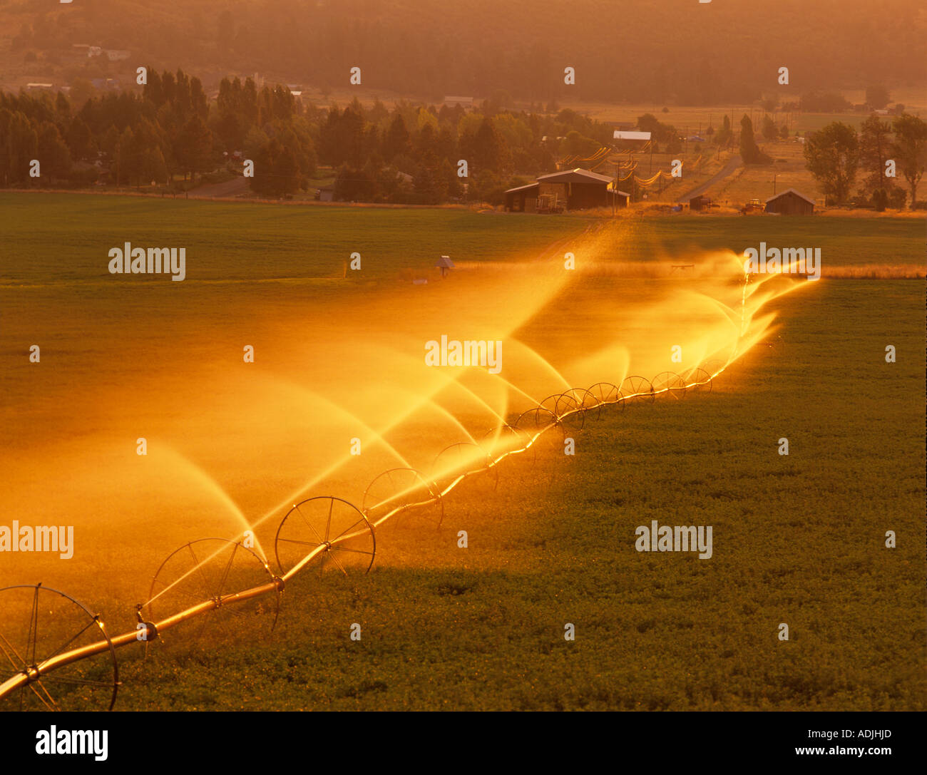 Backlit irrigation in alfalfa field Near Klamath Falls Oregon Stock