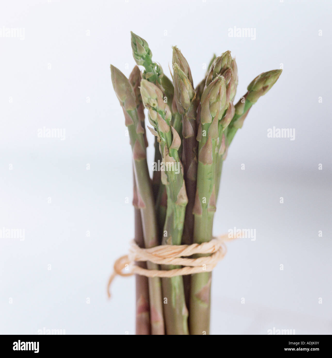 Bundle of asparagus Stock Photo Alamy