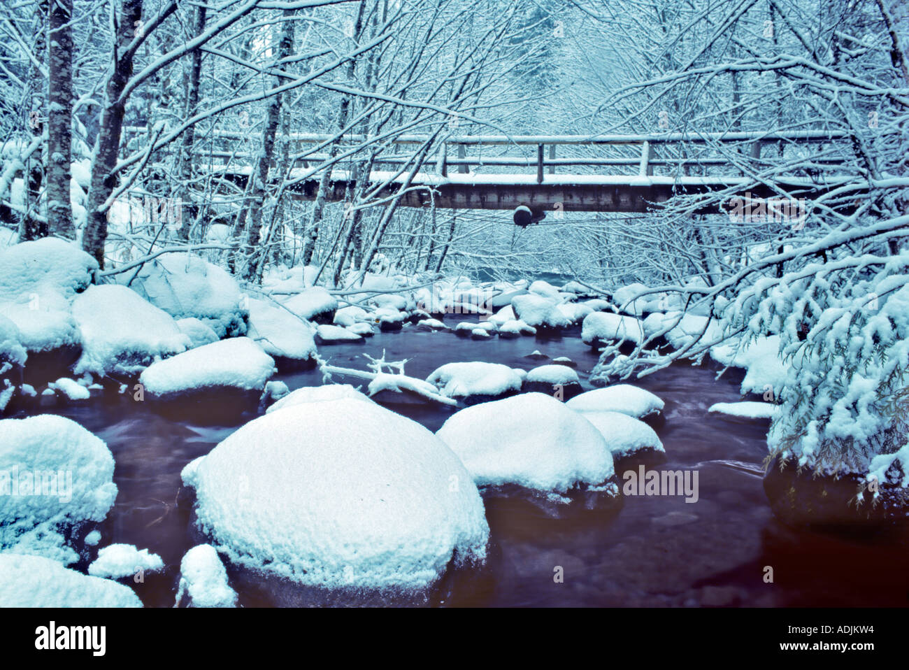 Bridge Snow Wood Flowing River High Resolution Stock Photography and ...
