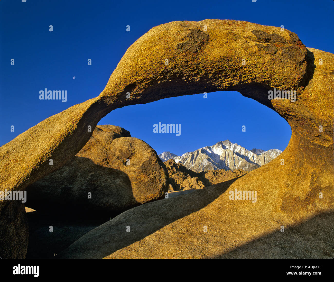 My Image 22