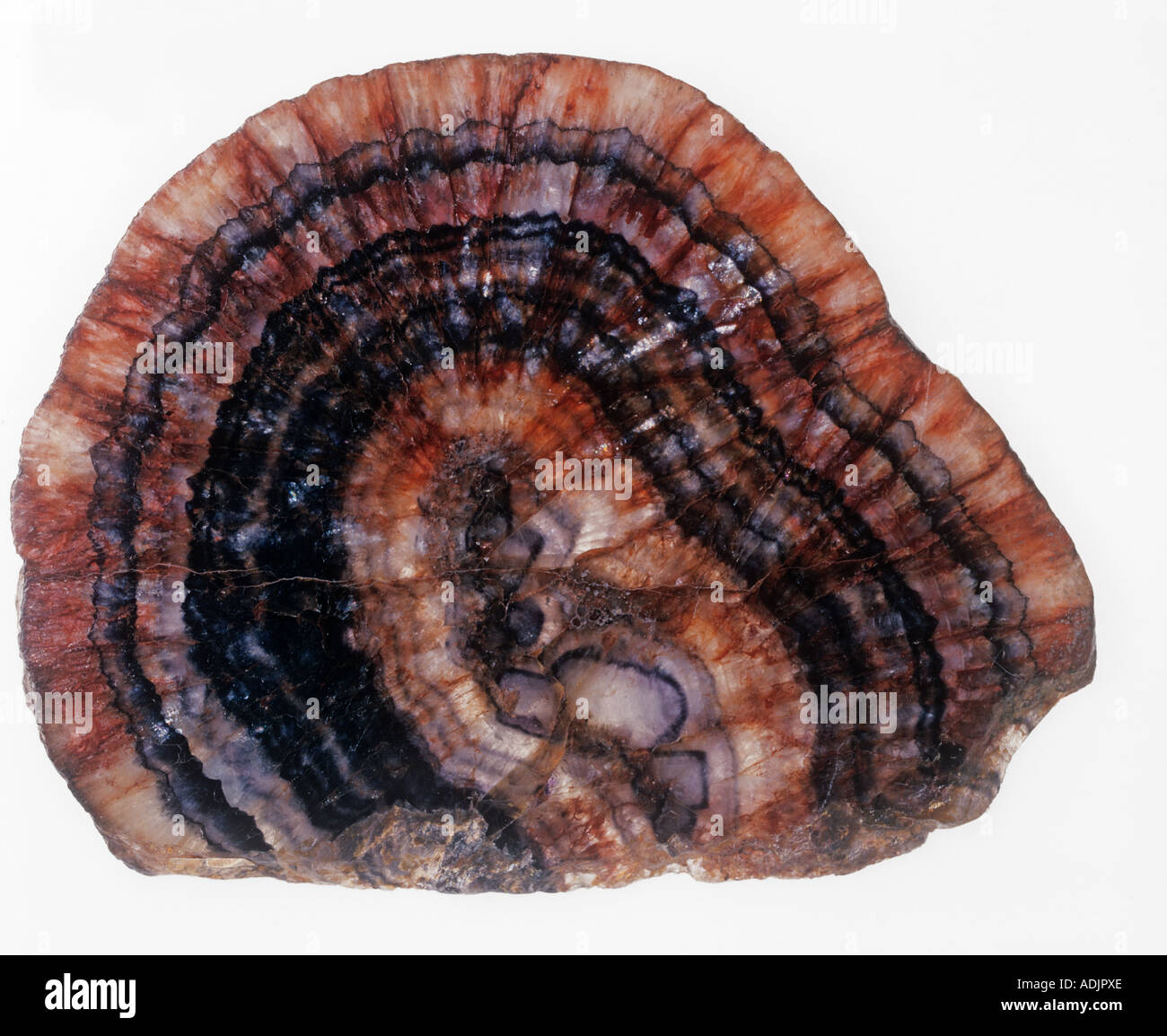 Blue John specimen Stock Photo