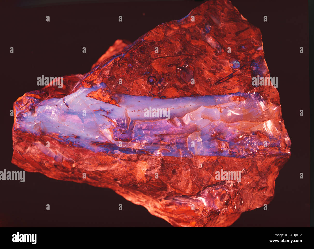 Bone needles of Magdalenian age Stock Photo