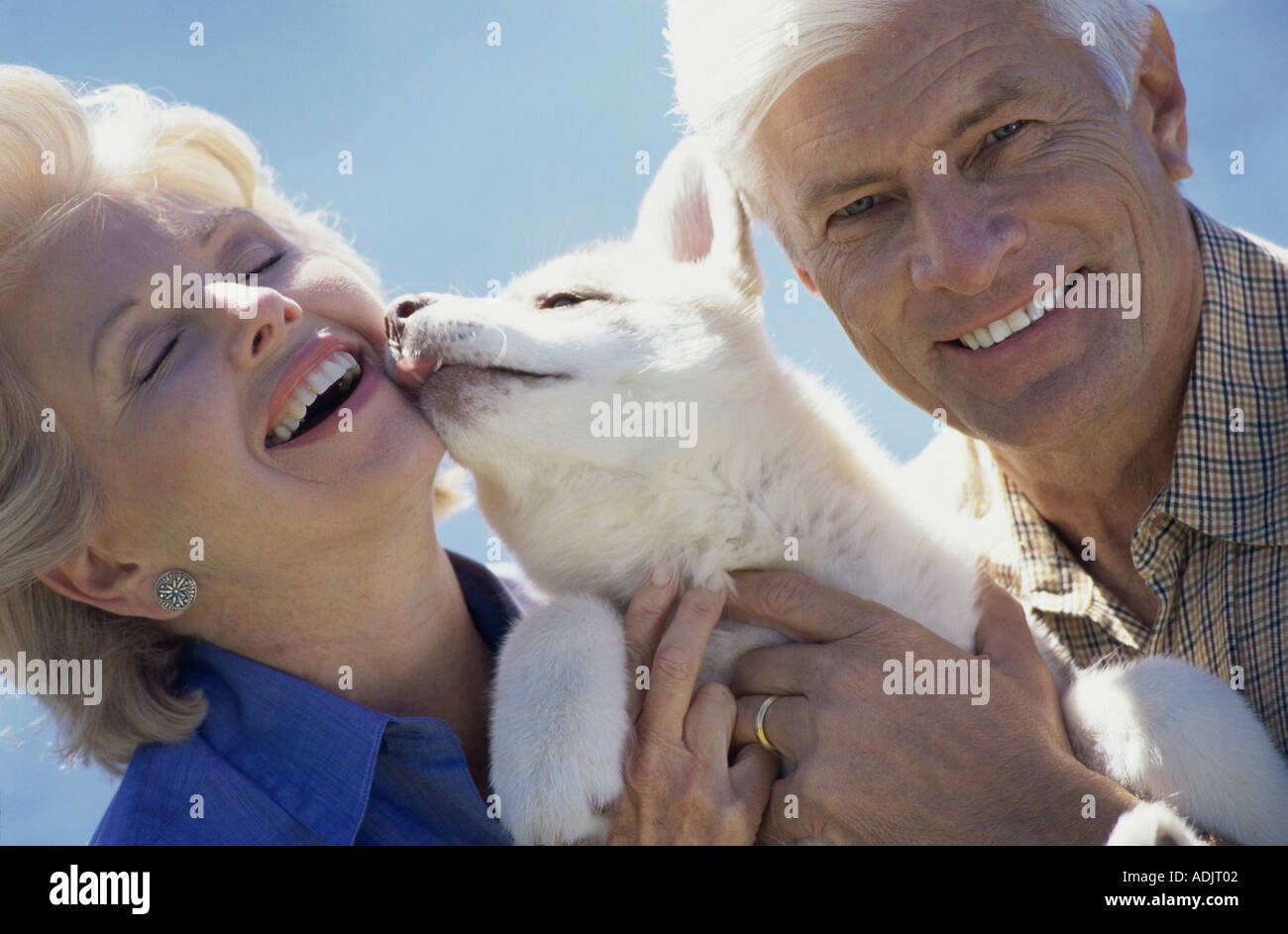 Portrait senior woman kissing dog hi-res stock photography and images ...