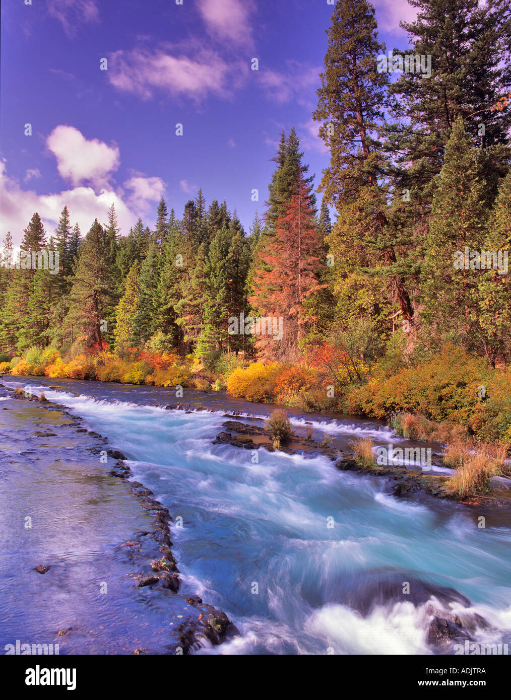 Metolius River with fall color Oregon Stock Photo