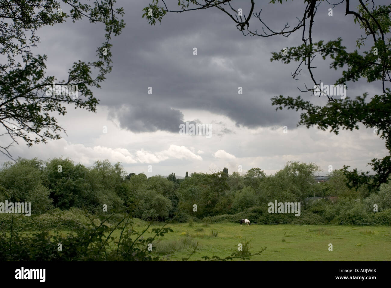 Cumulonimbus clouds threatening rain and thunder Cotswolds UK Stock Photo