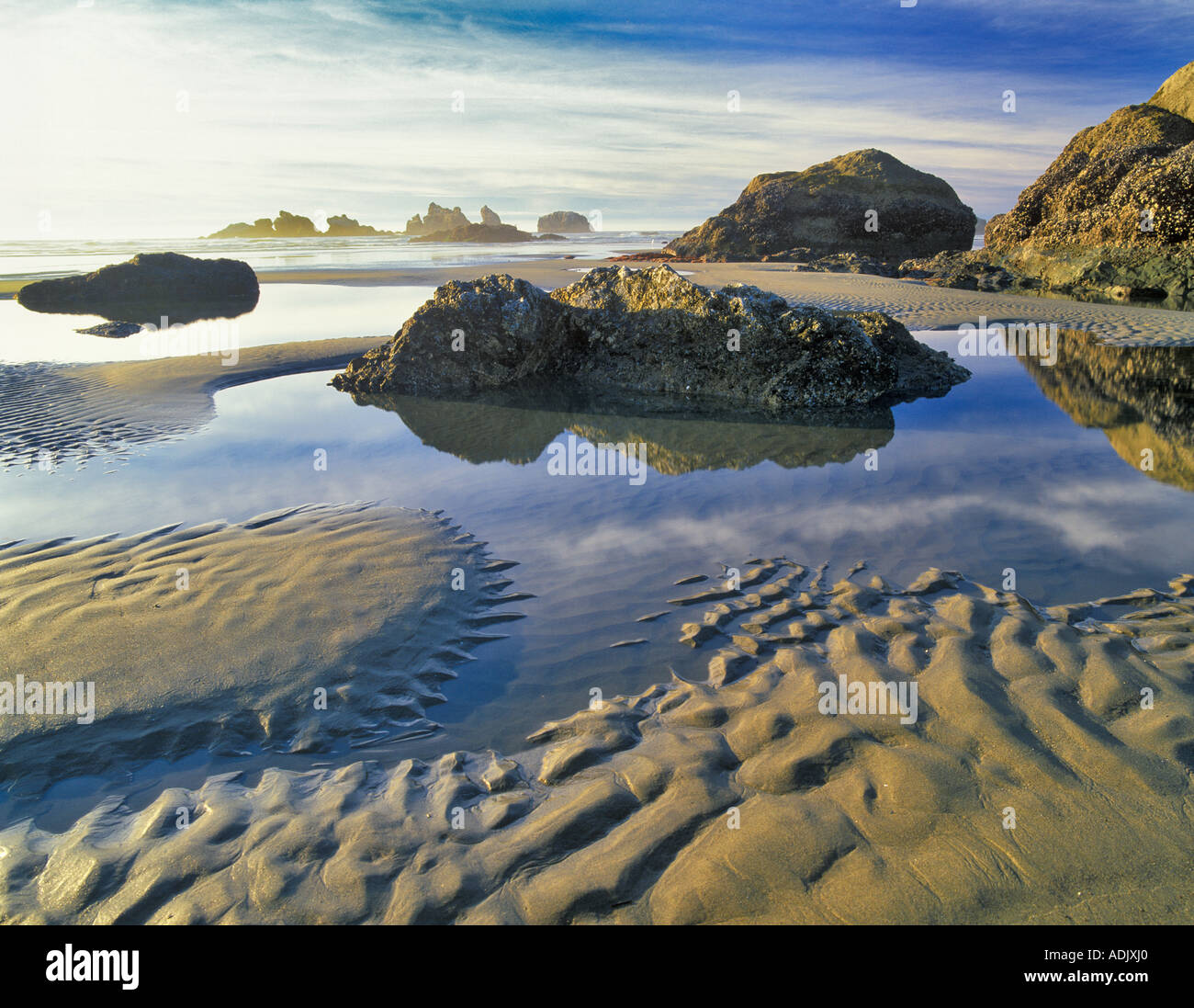 My Image 30