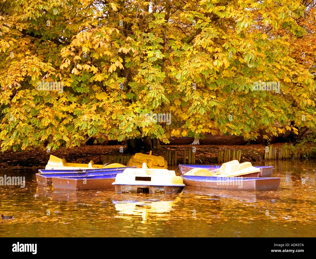 uk united kingdom boating lake alexandra palace park haringey north london Stock Photo