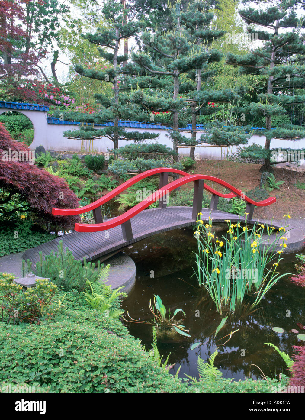 Bridge pond and water lilies Park and Tilford Garden Vancouver BC Stock Photo