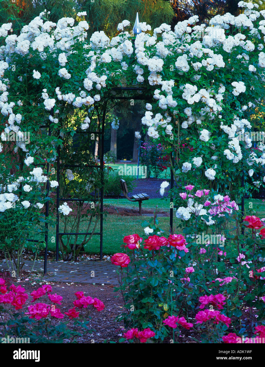 Rose arbor International Rose Test Gardens Portland Oregon Stock Photo
