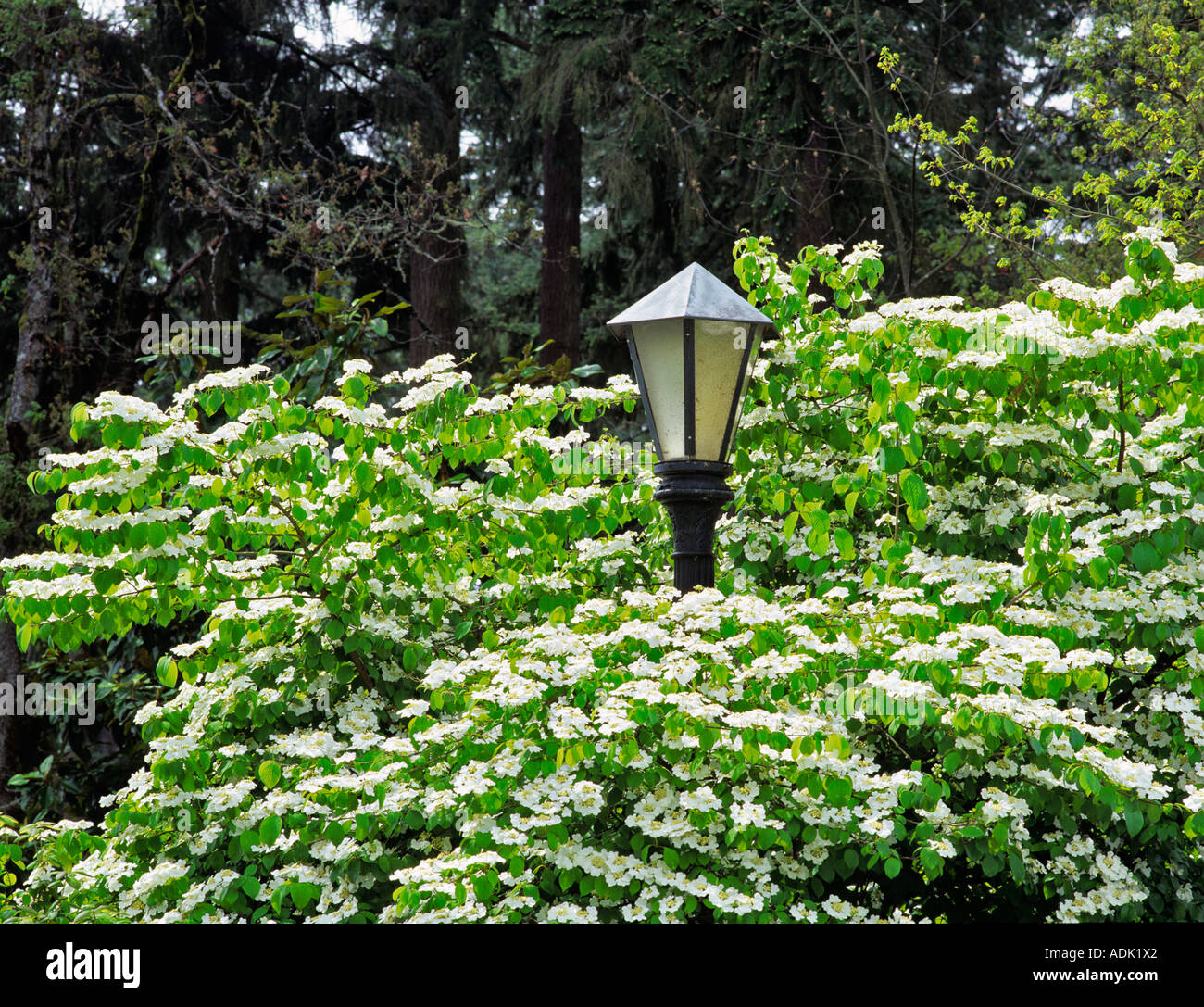 Eugene oregon hires stock photography and images Alamy