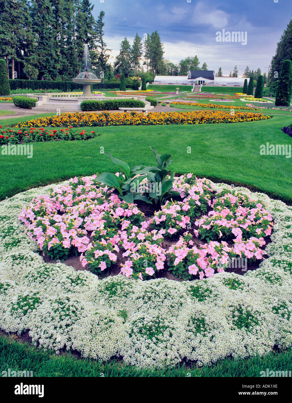 Allysum and petunia circle Duncan Garden Manito Park Spokane Washington Stock Photo