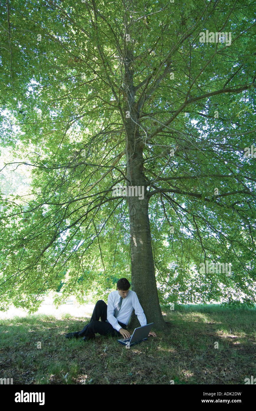 Man Sitting Under Shade Tree High Resolution Stock Photography and