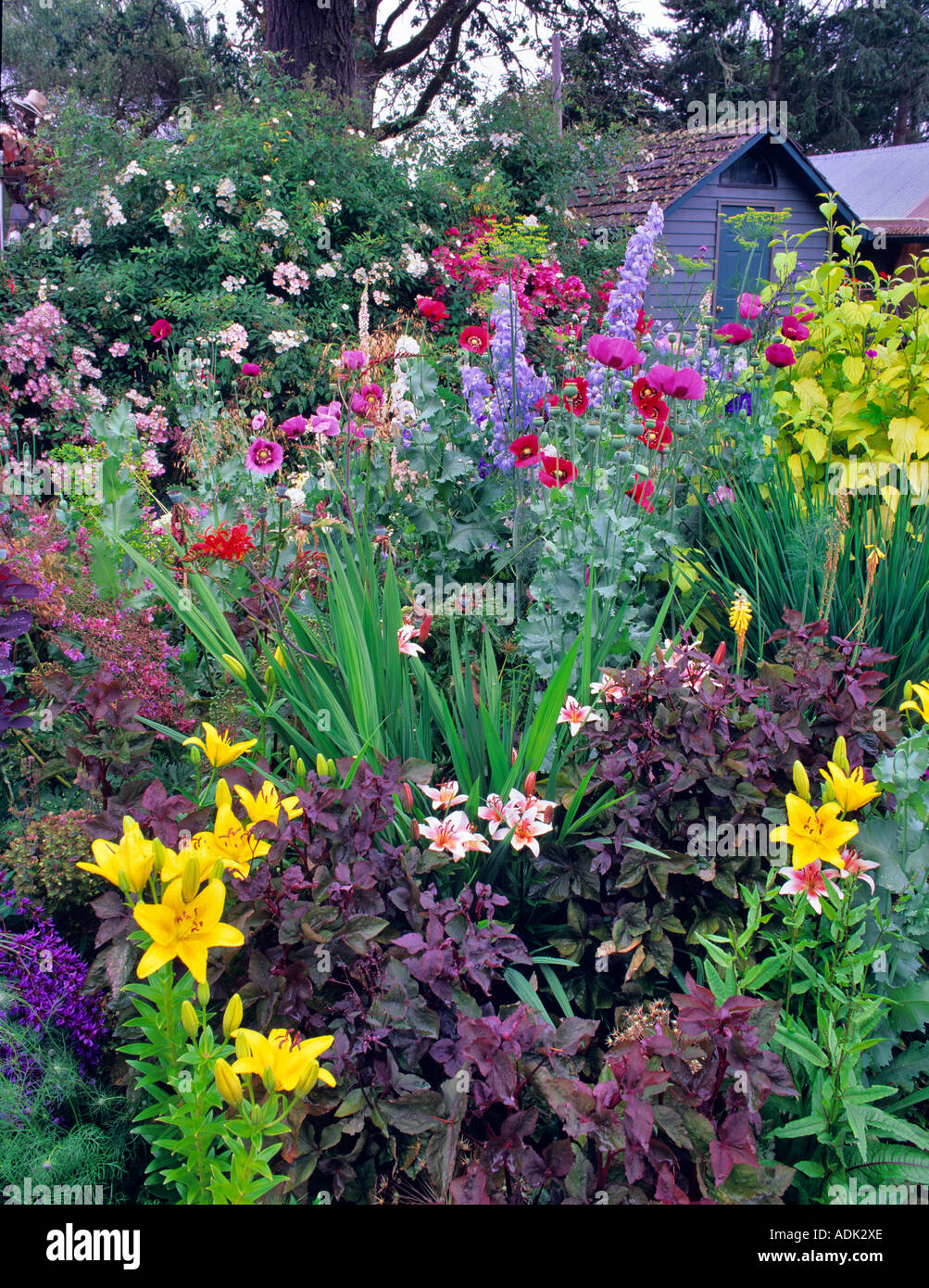 Flower gardens at Northwest Garden Nursery Eugene Oregon Stock Photo