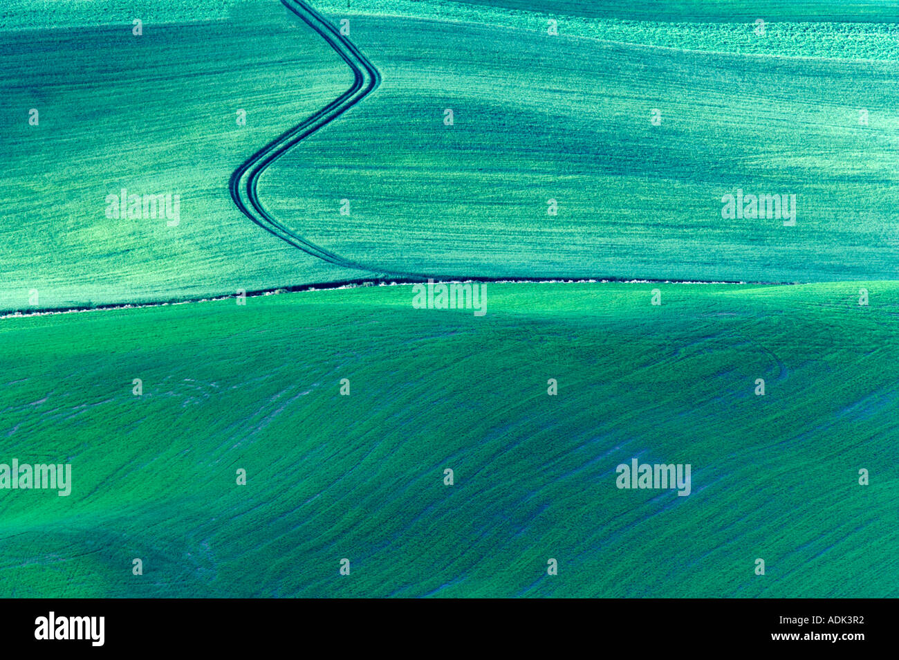 Lone road in wheat field The Palouse near Colfax Washington Stock Photo