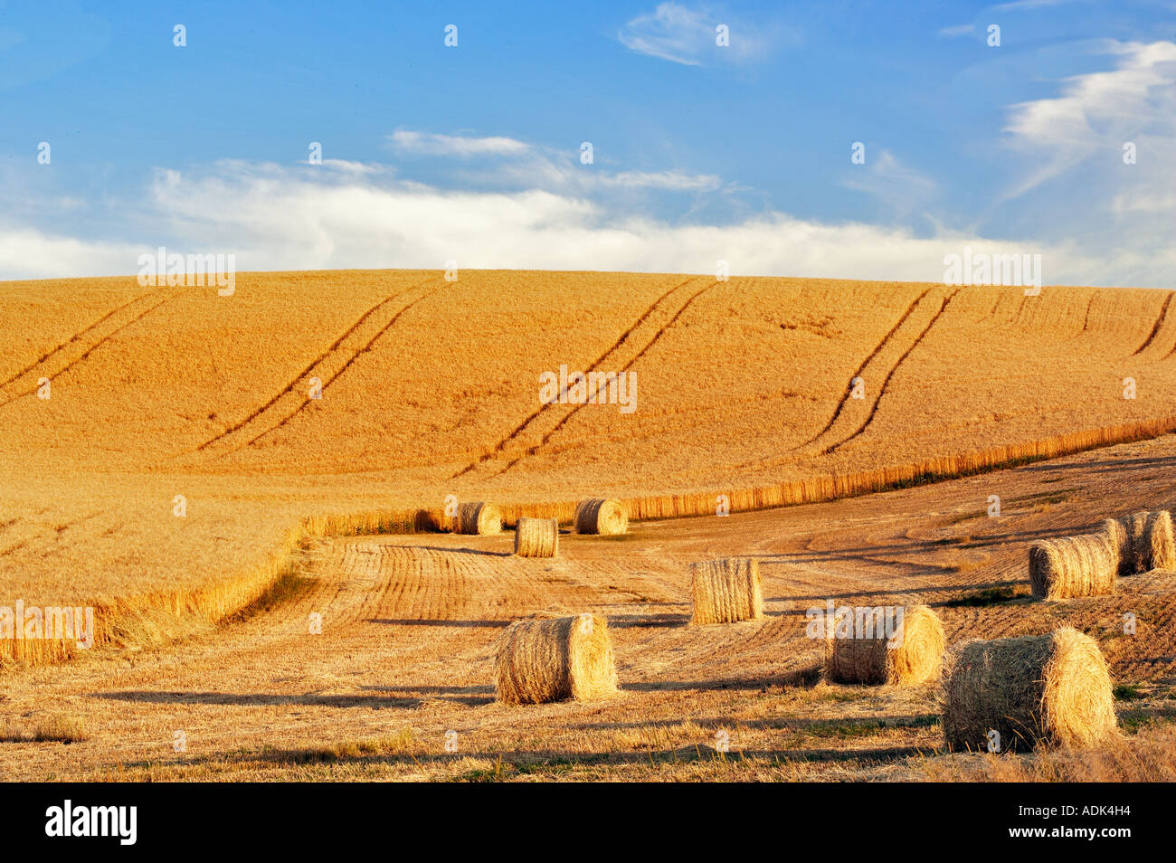 Bales of wheat straw The Palouse Washington Stock Photo Alamy